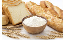 米粉の最高峰　品質・高性能米粉3種　お裾分けセット　うおぬま町・うおぬま小町 雪縁（ゆかり）・玄米が奏でるひとさじの魔法 各100g 10セット