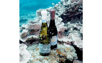 tlass SEA CELLAR -2024 1st Edition- 海底熟成前後飲み比べ赤ワイン 750ml×2本