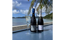 tlass&nbsp;SEA&nbsp;CELLAR&nbsp;-2024&nbsp;1st&nbsp;Edition-&nbsp;海底熟成前後飲み比べスパークリング&nbsp;750ml×2本