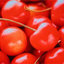 令和8年産【先行受付】山形県産さくらんぼ＜佐藤錦&nbsp;秀品＞400g(200g×2P)　