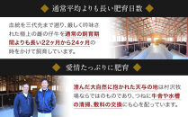 幻の美味「村沢牛」カレー・シチュー用（モモ・スネ・バラ）500ｇ