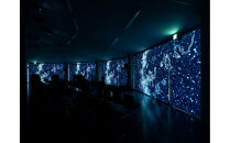 浪合パーク 星空デッキ レギュラー利用券 ｜ 観光 体験 旅行 トラベル 日本一 star 星 聖地 スタービレッジ 阿智村 長野県