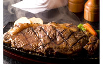 ＜定期便3回＞&nbsp;A5等級神戸牛&nbsp;極上2種食べ比べコース【神戸ぐりる工房】（隔月でお届け）