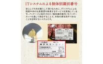 神戸牛&nbsp;焼肉用&nbsp;厚切り落とし&nbsp;&nbsp;500g&nbsp;(BBQ&nbsp;不揃い&nbsp;切り落し&nbsp;訳あり)キングミート