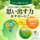 イチョウ葉&nbsp;サプリメント&nbsp;認知ヘルプ&nbsp;認知機能&nbsp;記憶力向上&nbsp;ホスファチジルセリン&nbsp;PQQ&nbsp;プラズマローゲン&nbsp;バコパサポニン&nbsp;DHA&nbsp;EPA&nbsp;コエンザイムQ10&nbsp;6袋（6ヶ月分）