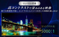 55V型&nbsp;4Kスマート液晶テレビ&nbsp;LT-55UGX-F1　ブラック&nbsp;新生活&nbsp;一人暮らし&nbsp;ひとり暮らし&nbsp;就職祝い&nbsp;進学祝い&nbsp;合格祝い