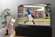 65V型&nbsp;4Kスマート液晶テレビ&nbsp;LT-65UGX-F1　ブラック&nbsp;新生活&nbsp;一人暮らし&nbsp;ひとり暮らし&nbsp;就職祝い&nbsp;進学祝い&nbsp;合格祝い&nbsp;