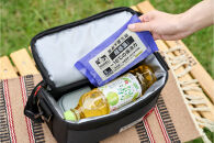 【10個セット】ＨＵＧＥＬ　氷点下保冷剤　超低温タイプ　HHCS-150