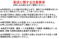 【4本×12パック】BIGCAPA&nbsp;basic+&nbsp;単3アルカリ乾電池4本ブリスターパック　LR6Bbp/4B