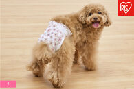 【36枚入り×6袋】ペット用おむつ　ピタフィット　Ｓ　３６枚入　女の子用　　NPD-S36