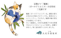 【松井酒造】京都ジン&nbsp;輪廻〈Old&nbsp;Tom&nbsp;MIKE〉43度&nbsp;720ml｜クラフトジン&nbsp;人気ブランド&nbsp;［&nbsp;京都&nbsp;老舗酒造&nbsp;和菓子を感じる甘口ジン&nbsp;人気&nbsp;おすすめ&nbsp;お酒&nbsp;スピリッツ&nbsp;お取り寄せ&nbsp;通販&nbsp;送料無料&nbsp;ふるさと納税&nbsp;］