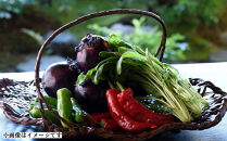 【下鴨茶寮本店】利用券30,000円分｜京都&nbsp;老舗料亭&nbsp;人気店［&nbsp;京都&nbsp;老舗&nbsp;料亭&nbsp;ランチ・ディナー共通&nbsp;割引券&nbsp;人気&nbsp;おすすめ&nbsp;グルメ&nbsp;京料理&nbsp;京懐石&nbsp;送料無料&nbsp;ふるさと納税&nbsp;］