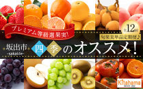 【全12回】《プレミアム等級選果実！》坂出市四季のオススメ！旬果実単品定期便♪