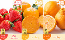 【全12回】《プレミアム等級選果実！》坂出市四季のオススメ！旬果実単品定期便♪