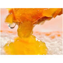 柑橘農家手作り!&nbsp;無添加柑橘ジャム&nbsp;4種食べ比べセット&nbsp;フルーツ&nbsp;柑橘&nbsp;オレンジ◇