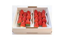 Sランク★静岡県産いちご 紅ほっぺ250ｇ×2パック(1パック約250ｇ 8～14粒）【北海道・沖縄・離島 配送不可】
