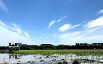 【令和7年産新米】中道農園 自然栽培 朝日 希 白米 2.5kg 肥料不使用、自然の力だけで栽培！農薬・化学肥料不使用｜JAS認証 オーガニック｜真空包装 防災備蓄対応｜ふるさと納税 滋賀県野洲市