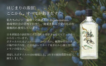 【松井酒造】京都ジン&nbsp;輪廻&nbsp;3種飲み比べセット&nbsp;300ml×3本｜大文字蒸留所&nbsp;クラフトジン&nbsp;人気ブランド&nbsp;[&nbsp;老舗酒造&nbsp;酒粕を蒸留したジン&nbsp;醸造酒の専門家が造る蒸留酒&nbsp;人気&nbsp;おすすめ&nbsp;お酒&nbsp;スピリッツ&nbsp;詰め合わせ&nbsp;お取り寄せ&nbsp;通販&nbsp;送料無料&nbsp;ふるさと納税&nbsp;]