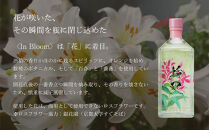 【松井酒造】京都ジン&nbsp;輪廻&nbsp;3種飲み比べセット&nbsp;300ml×3本｜大文字蒸留所&nbsp;クラフトジン&nbsp;人気ブランド&nbsp;[&nbsp;老舗酒造&nbsp;酒粕を蒸留したジン&nbsp;醸造酒の専門家が造る蒸留酒&nbsp;人気&nbsp;おすすめ&nbsp;お酒&nbsp;スピリッツ&nbsp;詰め合わせ&nbsp;お取り寄せ&nbsp;通販&nbsp;送料無料&nbsp;ふるさと納税&nbsp;]