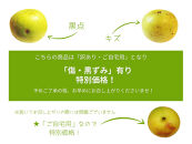 数量限定&nbsp;鳥取県産&nbsp;梨&nbsp;訳あり&nbsp;ご自宅用&nbsp;二十世紀梨&nbsp;5kg