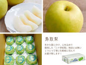 数量限定&nbsp;鳥取県産&nbsp;梨&nbsp;訳あり&nbsp;ご自宅用&nbsp;二十世紀梨&nbsp;5kg