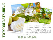 数量限定&nbsp;鳥取県産&nbsp;梨&nbsp;訳あり&nbsp;ご自宅用&nbsp;なつひめ&nbsp;5kg【梨&nbsp;なし&nbsp;ナシ&nbsp;なつひめ&nbsp;青梨&nbsp;赤梨&nbsp;5kg&nbsp;5キロ&nbsp;しゃきしゃき&nbsp;シャキシャキ&nbsp;限定&nbsp;自宅用&nbsp;家庭用&nbsp;甘い&nbsp;さわやか&nbsp;爽やか&nbsp;高品質&nbsp;国産&nbsp;鳥取県産&nbsp;人気&nbsp;おすすめ&nbsp;鳥取県&nbsp;琴浦町&nbsp;送料無料】