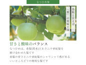 数量限定&nbsp;鳥取県産&nbsp;梨&nbsp;訳あり&nbsp;ご自宅用&nbsp;なつひめ&nbsp;5kg【梨&nbsp;なし&nbsp;ナシ&nbsp;なつひめ&nbsp;青梨&nbsp;赤梨&nbsp;5kg&nbsp;5キロ&nbsp;しゃきしゃき&nbsp;シャキシャキ&nbsp;限定&nbsp;自宅用&nbsp;家庭用&nbsp;甘い&nbsp;さわやか&nbsp;爽やか&nbsp;高品質&nbsp;国産&nbsp;鳥取県産&nbsp;人気&nbsp;おすすめ&nbsp;鳥取県&nbsp;琴浦町&nbsp;送料無料】
