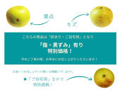 数量限定&nbsp;鳥取県産&nbsp;梨&nbsp;訳あり&nbsp;ご自宅用&nbsp;なつひめ&nbsp;5kg【梨&nbsp;なし&nbsp;ナシ&nbsp;なつひめ&nbsp;青梨&nbsp;赤梨&nbsp;5kg&nbsp;5キロ&nbsp;しゃきしゃき&nbsp;シャキシャキ&nbsp;限定&nbsp;自宅用&nbsp;家庭用&nbsp;甘い&nbsp;さわやか&nbsp;爽やか&nbsp;高品質&nbsp;国産&nbsp;鳥取県産&nbsp;人気&nbsp;おすすめ&nbsp;鳥取県&nbsp;琴浦町&nbsp;送料無料】