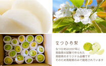 数量限定&nbsp;鳥取県産&nbsp;梨&nbsp;訳あり&nbsp;ご自宅用&nbsp;なつひめ&nbsp;5kg【梨&nbsp;なし&nbsp;ナシ&nbsp;なつひめ&nbsp;青梨&nbsp;赤梨&nbsp;5kg&nbsp;5キロ&nbsp;しゃきしゃき&nbsp;シャキシャキ&nbsp;限定&nbsp;自宅用&nbsp;家庭用&nbsp;甘い&nbsp;さわやか&nbsp;爽やか&nbsp;高品質&nbsp;国産&nbsp;鳥取県産&nbsp;人気&nbsp;おすすめ&nbsp;鳥取県&nbsp;琴浦町&nbsp;送料無料】