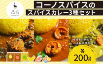 コーノスパイス スパイスカレー3種セット チキンカレー エビカレー ベジタブルカレー 各200gパック 小麦粉不使用 グルテンフリー CONO SPICE コーノコーラ 愛知県 名古屋市