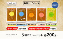 《無地熨斗》 コーノスパイス スパイスカレー5種セット チキン サバと大根 キーマ エビ ベジタブル 各200gパック 小麦粉不使用 グルテンフリー CONO SPICE コーノコーラ 愛知県 名古屋市