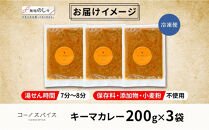 《無地熨斗》&nbsp;コーノスパイス&nbsp;キーマカレー&nbsp;200g×3パック&nbsp;スパイスカレー&nbsp;合挽肉&nbsp;&nbsp;エビソース&nbsp;小麦粉不使用&nbsp;グルテンフリー&nbsp;スパイシー&nbsp;カリー&nbsp;CONO&nbsp;SPICE&nbsp;コーノコーラ&nbsp;愛知県&nbsp;名古屋市