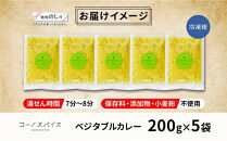 《無地熨斗》コーノスパイス&nbsp;ベジタブルカレー&nbsp;200g×5パック&nbsp;スパイスカレー&nbsp;和風出汁&nbsp;クリーミー&nbsp;ココナッツ&nbsp;小麦粉不使用&nbsp;グルテンフリー&nbsp;&nbsp;CONO&nbsp;SPICE&nbsp;コーノコーラ&nbsp;愛知県&nbsp;名古屋市