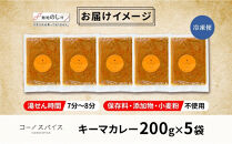 《無地熨斗》&nbsp;コーノスパイス&nbsp;キーマカレー&nbsp;200g×5パック&nbsp;スパイスカレー&nbsp;キーマ&nbsp;カレー&nbsp;合挽肉&nbsp;エビソース&nbsp;小麦粉不使用&nbsp;グルテンフリー&nbsp;スパイシー&nbsp;カリー&nbsp;冷凍&nbsp;CONO&nbsp;SPICE&nbsp;コーノコーラ&nbsp;送料無料&nbsp;愛知県&nbsp;名古屋市
