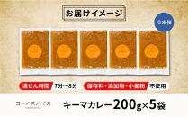 コーノスパイス キーマカレー 200g×5パック スパイスカレー キーマ カレー 合挽肉 エビソース 小麦粉不使用 グルテンフリー スパイシー カレーライス 冷凍 CONO SPICE コーノコーラ 送料無料 愛知県 名古屋市