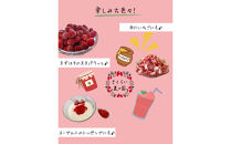 【訳アリ&nbsp;冷凍いちご】静岡県産の完熟紅ほっぺを使用した冷凍いちご1kg【静岡県産】