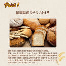 【福岡市内製造】あなたもパン屋さん！　福岡県産強力粉&nbsp;1.2kg入×5袋セット（6kg）