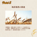 【福岡市内製造】あなたもパン屋さん！　福岡県産強力粉&nbsp;1.2kg入×5袋セット（6kg）