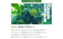 ※価格変更※【数量限定】鳥取県産&nbsp;梨&nbsp;訳あり&nbsp;ご自宅用&nbsp;二十世紀梨&nbsp;5kg
