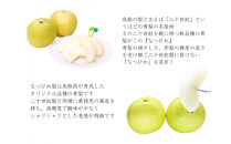 【数量限定】鳥取県産&nbsp;梨&nbsp;訳あり&nbsp;ご自宅用&nbsp;なつひめ&nbsp;5kg