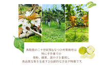 【数量限定】鳥取県産&nbsp;梨&nbsp;訳あり&nbsp;ご自宅用&nbsp;なつひめ&nbsp;5kg