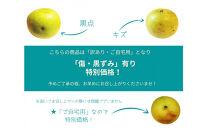 【数量限定】鳥取県産&nbsp;梨&nbsp;訳あり&nbsp;ご自宅用&nbsp;なつひめ&nbsp;5kg