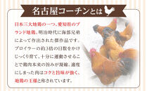 名古屋コーチン100％使用&nbsp;無添加&nbsp;犬用おやつ&nbsp;ささみと野菜のジャーキー&nbsp;（かぼちゃ＆にんじん）手作り×3個セット【はなぶさ精肉店】