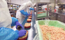 駅弁「山陰鳥取かにめし」のカニ身＆タレ＆容器 2人前×4パック