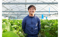 先行受付【静岡県産いちご】完熟紅ほっぺ・きらぴ香2パックセット（300g×2パック）【2026年1月下旬以降発送予定】●