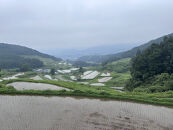 ＼先行予約／【令和7年度産】大分県由布市産&nbsp;ひのひかり（玄米）5kg