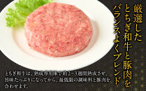 とちぎ和牛入り&nbsp;ハンバーグセット&nbsp;｜&nbsp;牛肉&nbsp;和牛&nbsp;&nbsp;肉&nbsp;ブランド牛&nbsp;合挽&nbsp;ハンバーグ&nbsp;栃木県共通返礼品