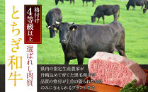 とちぎ和牛&nbsp;ローストビーフ&nbsp;200g&nbsp;&nbsp;｜&nbsp;牛肉&nbsp;和牛&nbsp;&nbsp;肉&nbsp;ブランド牛&nbsp;高級&nbsp;ローストビーフ&nbsp;栃木県共通返礼品