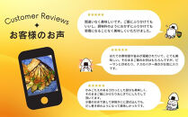 【ふるさと納税】業務用 ふりかけ ゴロっと北海ホタテの焦がし醤油 ふりかけ ホタテ 1kg ほたて 帆立 澤田食品 ストック 大容量 ふりかけグランプリ お米のお供 北海道