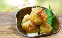 【ふるさと納税】業務用 ふりかけ ゴロっと北海ホタテの焦がし醤油 ふりかけ ホタテ 1kg ほたて 帆立 澤田食品 ストック 大容量 ふりかけグランプリ お米のお供 北海道